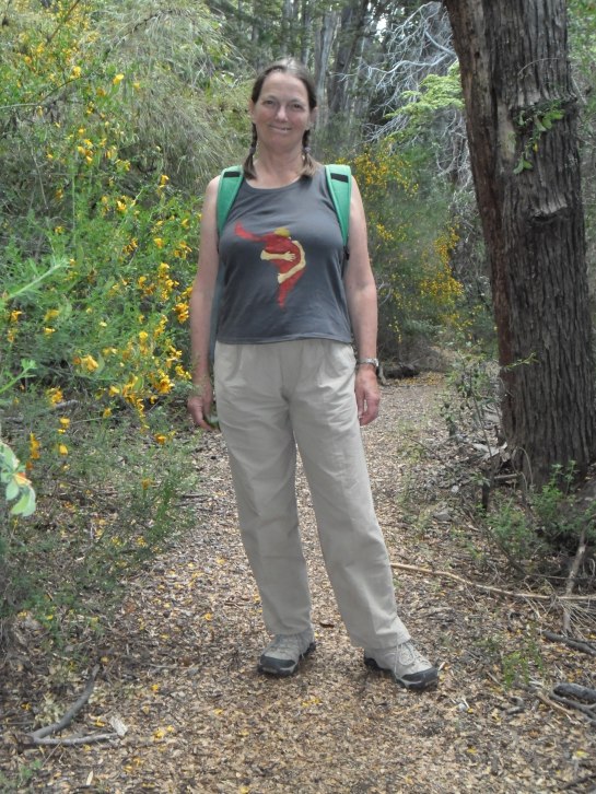 Patagonian summer in December