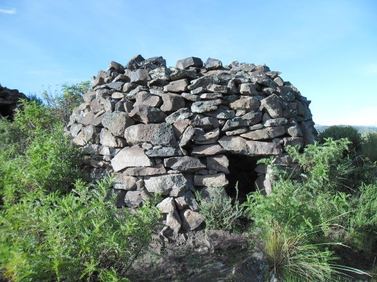 We did not crawl into one!