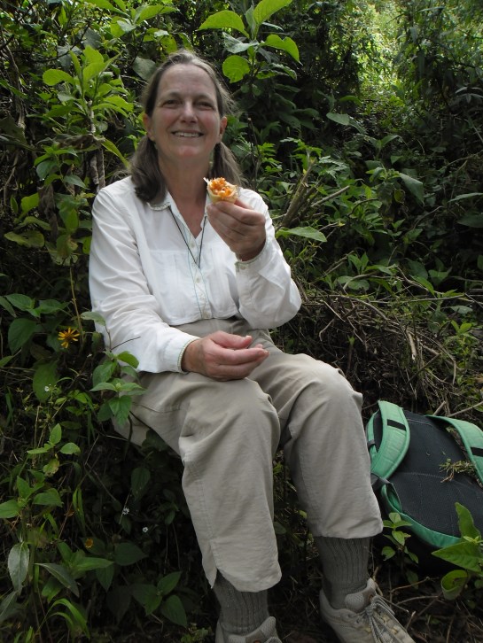 A fruit break along the way. The fruit is a tumbo. It's kind of like a passion fruit. 